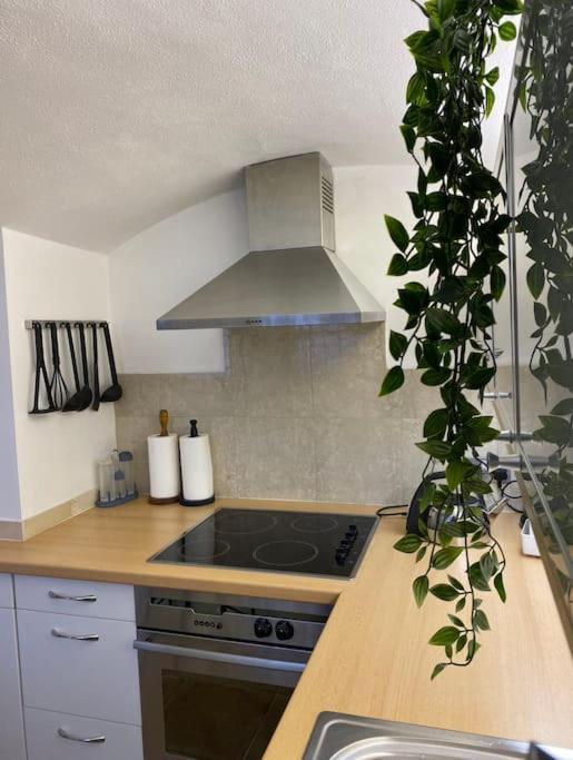 Spacious Flat In The Most Desirable Area Of London Eksteriør bilde