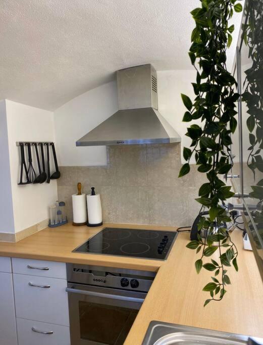 Spacious Flat In The Most Desirable Area Of London Eksteriør bilde